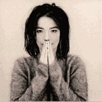 BjÃ¶rk - Debut