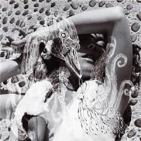 BjÃ¶rk - Vespertine 