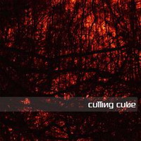 Cutting Cube