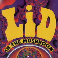 Desempolvando... 'In The Mushroom' de Lid