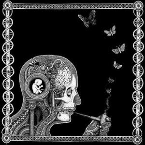 Soen - Cognitive